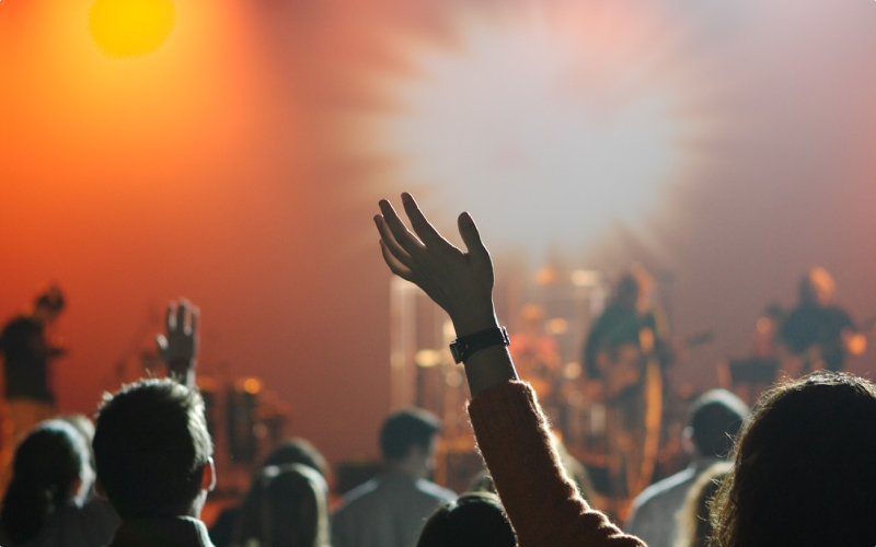 Excited fans at a concert